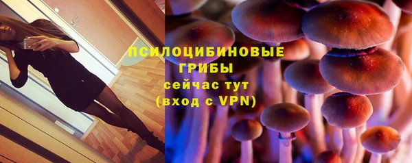 а пвп мука Балабаново