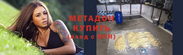прущие грибы Балахна