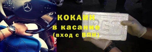 прущие грибы Балахна