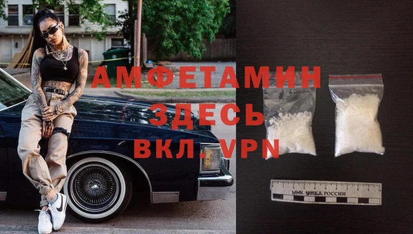 прущие грибы Балахна