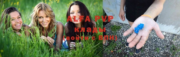 прущие грибы Балахна