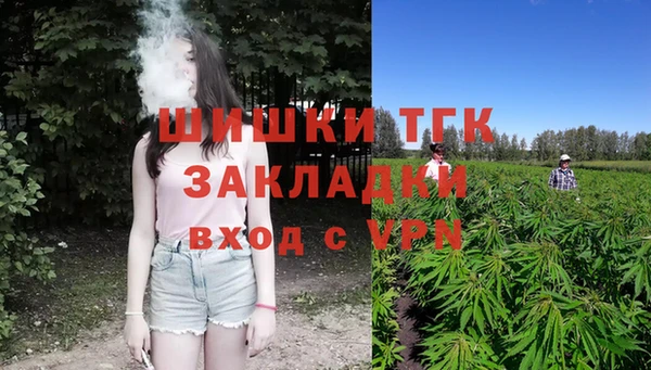 прущие грибы Балахна