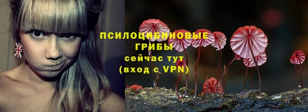 прущие грибы Балахна