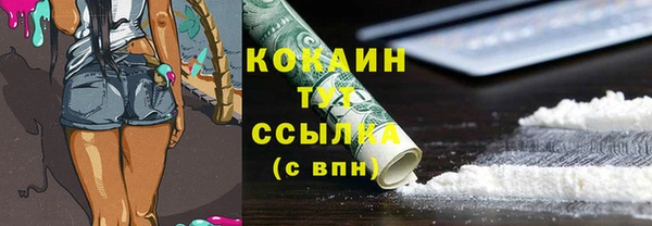 прущие грибы Балахна
